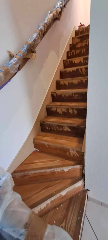 parquet (3)